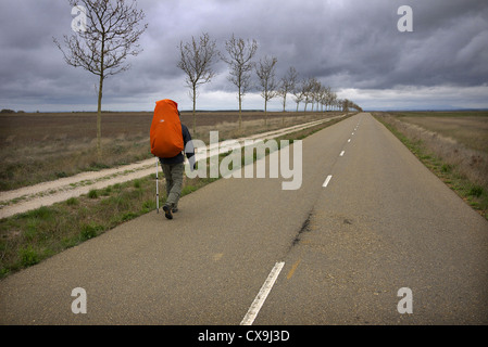 Un pèlerin marcher le chemin de Compostelle, près de Sahagun en Espagne. Banque D'Images