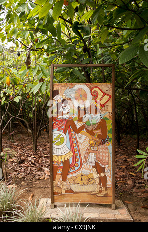 Cabosse cacao Caraïbes Antilles Françaises Guadeloupe accueil fruits alimentaire du chocolat la maison du chocolat pointe noire Banque D'Images