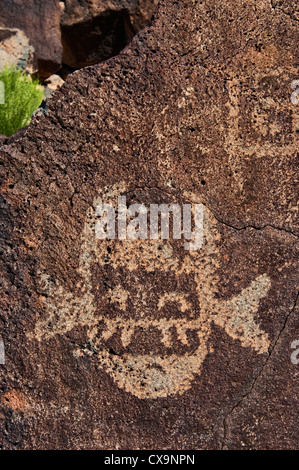 Pétroglyphes à Boca Negra Canyon, Monument national Petroglyph, Albuquerque, New Mexico, USA Banque D'Images