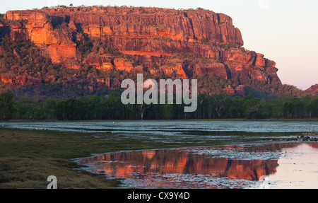 Nourlangie Rock et billabong au coucher du soleil, avec la roche se reflétant dans l'eau, le Kakadu National Park, Territoire du Nord Banque D'Images