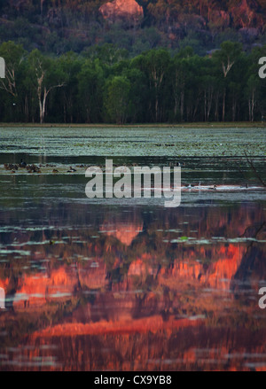 Nourlangie billabong au coucher du soleil, avec la roche se reflétant dans l'eau, le Kakadu National Park, Territoire du Nord Banque D'Images