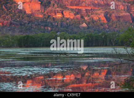 Nourlangie Rock et billabong au coucher du soleil, avec la roche se reflétant dans l'eau, le Kakadu National Park, Territoire du Nord Banque D'Images