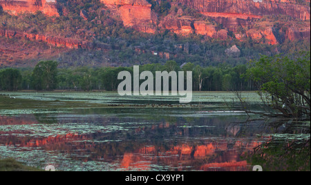 Nourlangie Rock et billabong au coucher du soleil, avec la roche se reflétant dans l'eau, le Kakadu National Park, Territoire du Nord Banque D'Images