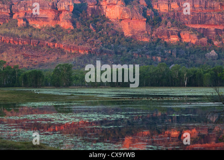 Nourlangie Rock et billabong au coucher du soleil, avec la roche se reflétant dans l'eau, le Kakadu National Park, Territoire du Nord Banque D'Images