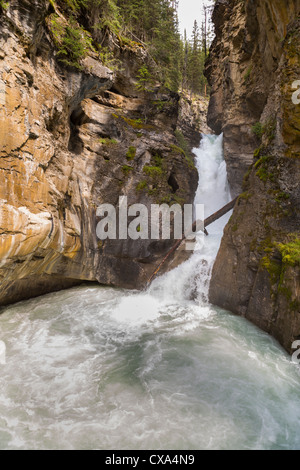 L'ALBERTA, CANADA - Johnston Canyon dans le parc national de Banff. Banque D'Images