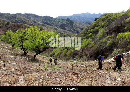 La charité les marcheurs dans la gamme de montagne de la vallée de Mutianyu, Beijing, Chine, Asie Provence Banque D'Images