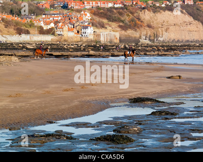 Chevaux sur la plage au Boggle Hole près de Robin Hood's Bay, sur la façon et le Cleveland North Yorkshire Coast England UK Banque D'Images