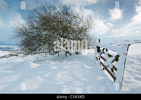 Vue d'hiver la neige a couvert de landes, regardant à travers une barrière ouverte et dans la région de Dale Danby North York Moors National Park. Banque D'Images
