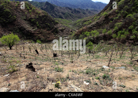 La charité les marcheurs dans la gamme de montagne de la vallée de Mutianyu, Beijing, Chine, Asie Provence Banque D'Images