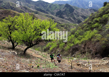 La charité les marcheurs dans la gamme de montagne de la vallée de Mutianyu, Beijing, Chine, Asie Provence Banque D'Images