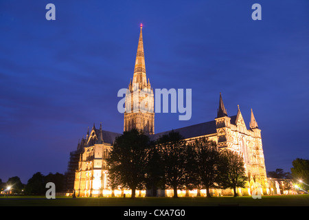 La cathédrale de Salisbury éclairés la nuit dans le Wiltshire, Angleterre. Banque D'Images