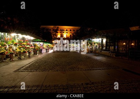 Marché aux fleurs à la place Solny, Wroclaw, Pologne - Juillet 2010 Banque D'Images