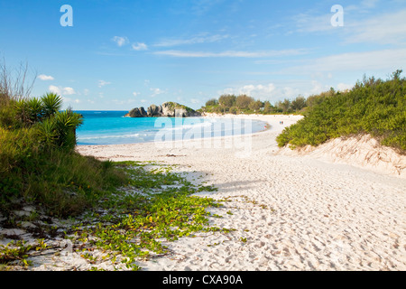 Vue sur plage de Horseshoe Bay sur le côté sud des Bermudes. Banque D'Images