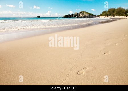 Vue sur plage de Horseshoe Bay sur le côté sud des Bermudes. Banque D'Images