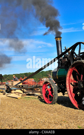 Vintage Marshall traction Engine « Firefly » conduisant Davis rack SAW Bench et rippage des grumes lors du labour et du battage, West Sussex, Angleterre, Royaume-Uni Banque D'Images