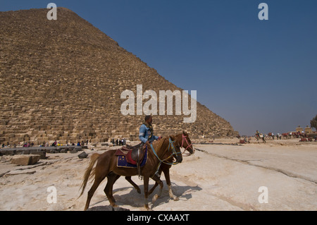 Location guide les chevaux pour touristes devant les pyramides de Guizeh Le Caire Egypte Banque D'Images