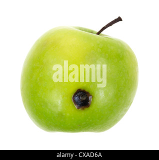 Une nouvelle pomme verte avec un seul point faible sur un fond blanc. Banque D'Images