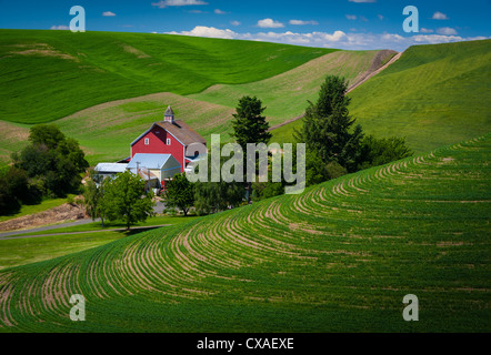 Les bâtiments de ferme dans la région de Eastern Washington palouse Banque D'Images