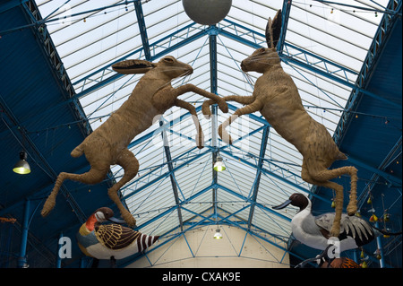 L'installation d'art d'oiseaux et lièvres bondissant accrochées au plafond de la halle au cours d'Abergavenny Food Festival Banque D'Images