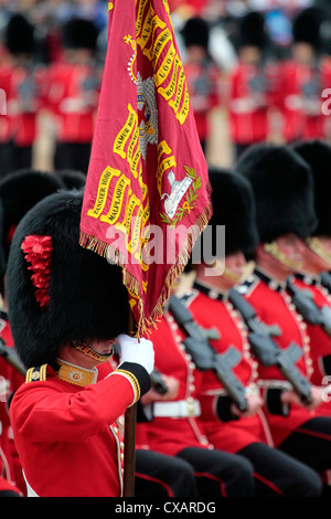 Des soldats à la parade la couleur 2012, défilé de l'anniversaire de la Reine, Horse Guards, Whitehall, Londres, Angleterre, Royaume-Uni Banque D'Images