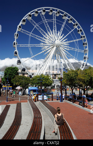 Grande roue, le Waterfront, Cape Town, Afrique du Sud, l'Afrique Banque D'Images