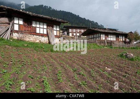 Maisons typiques avec des champs de pommes de terre dans la vallée de Phobjikha, Bhoutan, Asie Banque D'Images