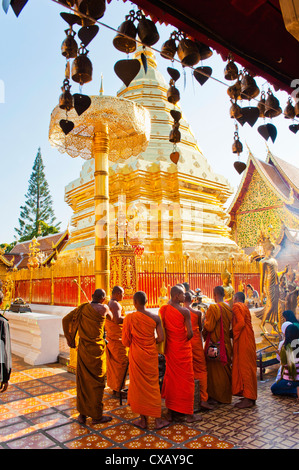 Groupe de moines bouddhistes priant à Wat Doi Suthep Temple, Chiang Mai, Thaïlande, Asie du Sud, Asie Banque D'Images