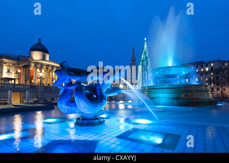 Trafalgar Square à Noël, Londres, Angleterre, Royaume-Uni, Europe Banque D'Images