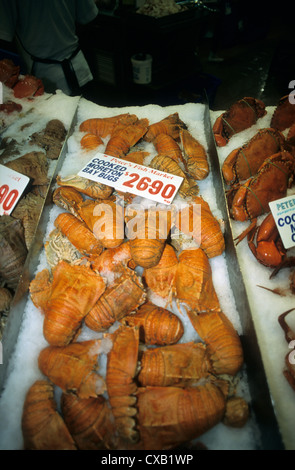 L'Australie, Sydney, Pymont, marché aux poissons de Sydney, Moreton Bay 'bugs', une spécialité locale. Fruits de mer de l'Australie. Banque D'Images
