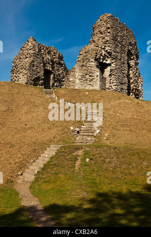 La grande tour du château de Christchurch, symbole du pouvoir normand construit à l'origine du bois bois d'environ 1100 ad, Dorset, Angleterre Banque D'Images