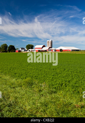 American Country ferme avec des plants de soja et ciel bleu Banque D'Images