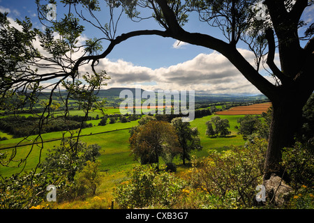 Une vue de Penhill, Wensleydale, à partir de l'escarpement à châle Leyburn, North Yorkshire, Angleterre. Banque D'Images