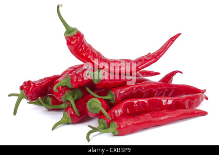 Red Hot Chili Peppers (lat. Capsicum annuum), sur un fond blanc Banque D'Images