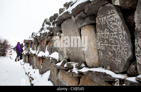 Vieille pierres mani inscrit avec un mantra bouddhiste et couverte de neige, Langtang, Népal Banque D'Images