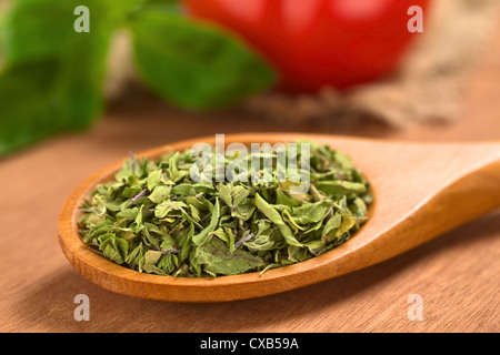 Feuilles d'origan séché sur cuillère en bois avec tomate et basilic dans le dos Banque D'Images