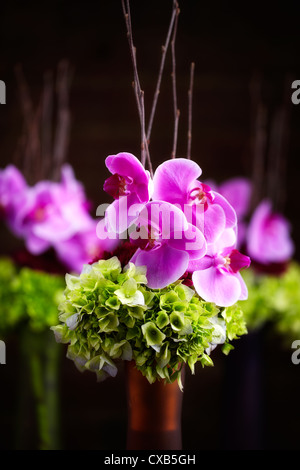 Bouquet d'orchidées et de l'hortensia Banque D'Images
