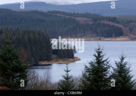 Kielder Water est un homme fait un réservoir et la forêt de Kielder une série de plantations commerciales dans le Northumberland, Angleterre Banque D'Images