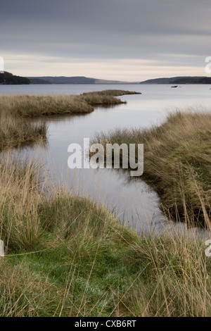 Kielder Water et forêt en Parc National de Northumberland, Angleterre est un important réservoir de l'homme Banque D'Images