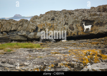 Un cerf peint en blanc sur les rochers près de Bambrugh château dans le Northumberland. Banque D'Images