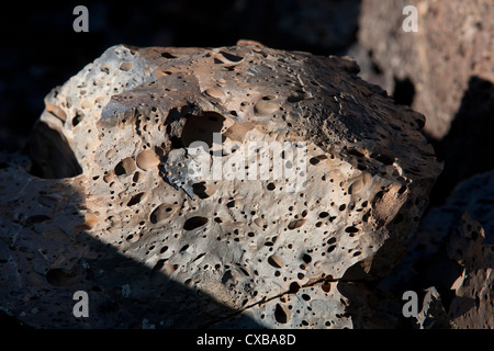 Bulles de gaz les trous dans cette lave pahoehoe, partie de l'écoulement de Blue Dragon, cratères de la Lune National Monument, ID. Banque D'Images