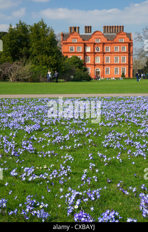 Gloire de la fleurs de neige dans les pelouses près de Kew Palace au printemps, Royal Botanic Gardens, Kew, UNESCO World Heritage Site, London Banque D'Images