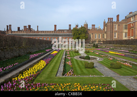 Jardins formels, Hampton Court Palace, Grand Londres, Angleterre, Royaume-Uni, Europe Banque D'Images