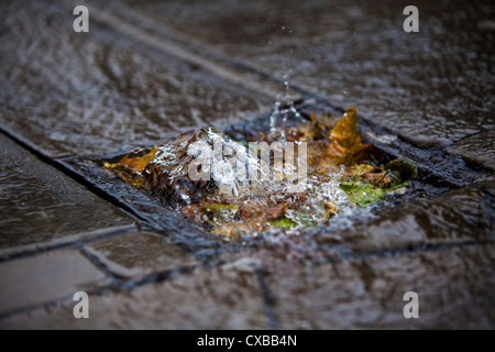 L'eau de pluie s'écoulant dans une grille à bloqué avec des feuilles à Birmingham, Royaume-Uni. Banque D'Images