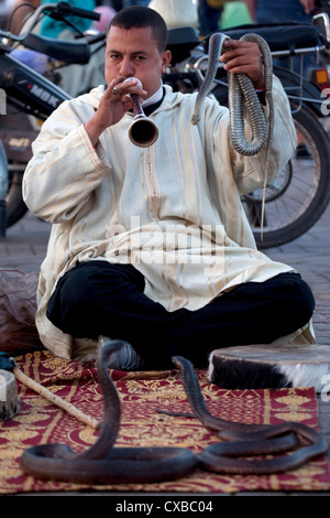 Charmeur de serpent, la Place Jemaa El Fna, Marrakech, Maroc, Afrique du Nord, Afrique Banque D'Images