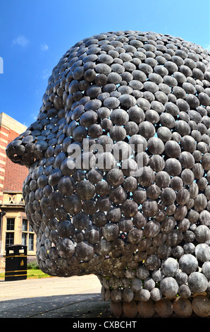 Les photos prises à partir de autour de l'Université de Hull, Angleterre. Banque D'Images