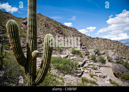 Ruines de Quilmes, la province de Salta, Argentine. Banque D'Images