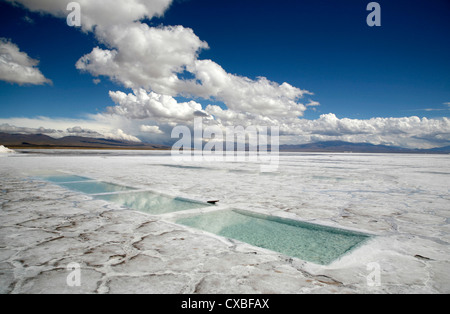 Salinas Grandes, Province de Jujuy, en Argentine. Banque D'Images