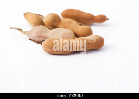 Close-up de tamarin (Tamarindus indica) pod fruits sur fond blanc Banque D'Images