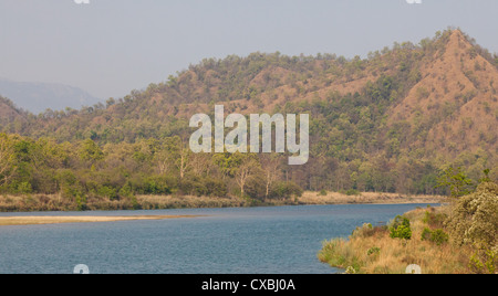 Vue sur le parc national de Bardia et la rivière Babai, Népal Banque D'Images