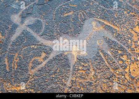 Des pétroglyphes ou gravures, Twyfelfontein, site du patrimoine mondial de l'UNESCO, la région de Kunene, Damaraland, Namibie, Afrique Banque D'Images